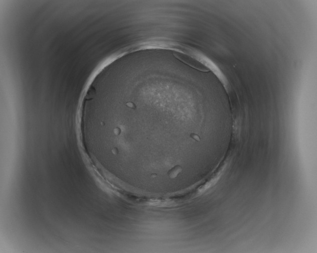 X0000111251146200907021426