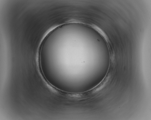 X0000111251149200907021426