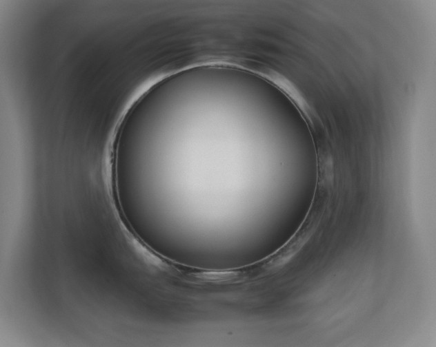 X0000111251151200907021426