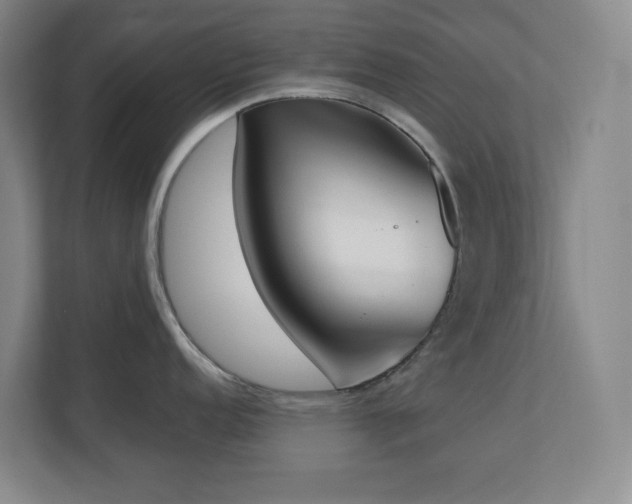 X0000111251152200907021426