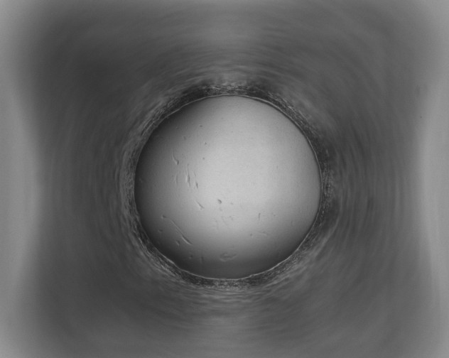 X0000111251153200907021425