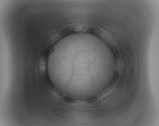 X0000111251154200907021425
