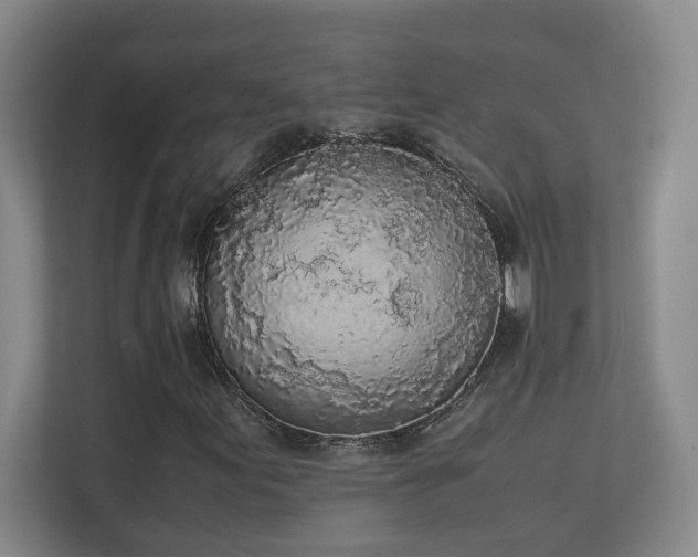 X0000111251155200907021425