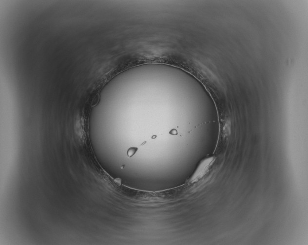 X0000111251156200907021425