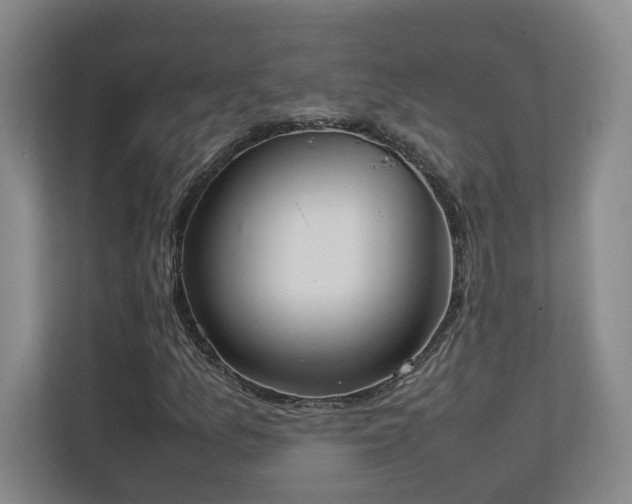 X0000111251157200907021425