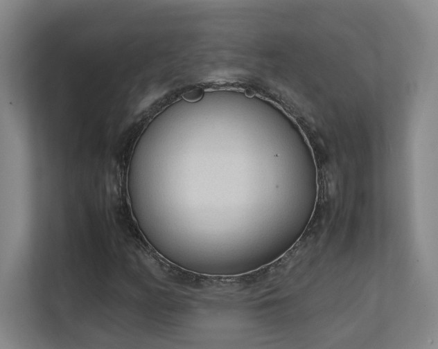 X0000111251158200907021425