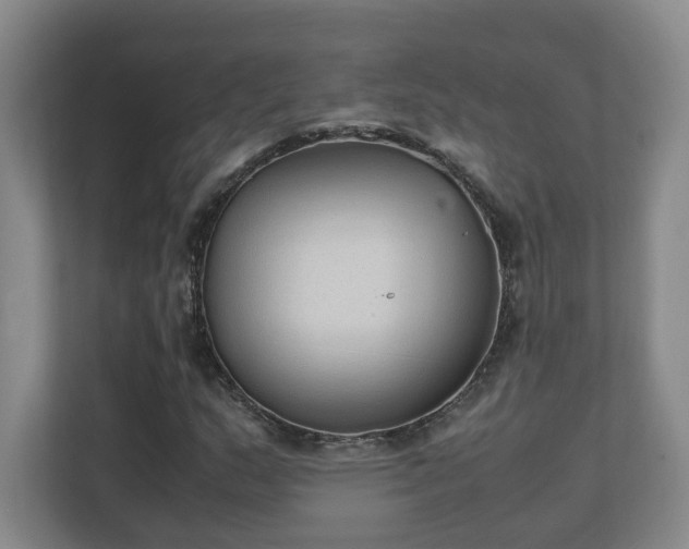 X0000111251159200907021425