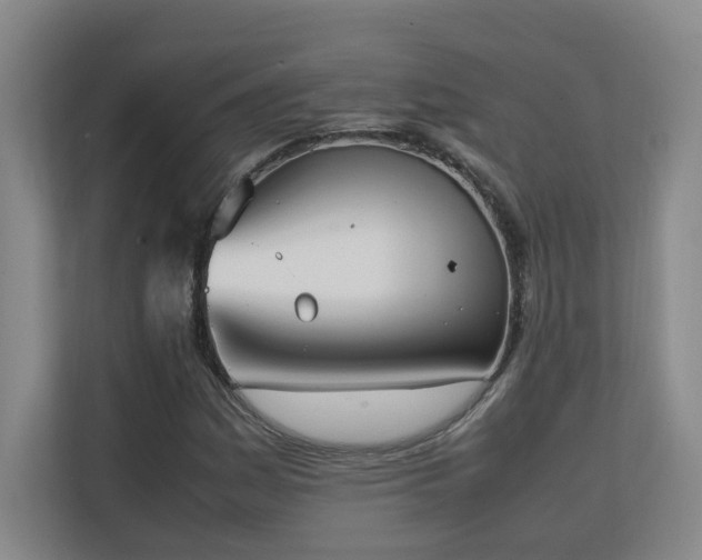 X0000111251161200907021425