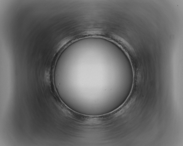 X0000111251162200907021425