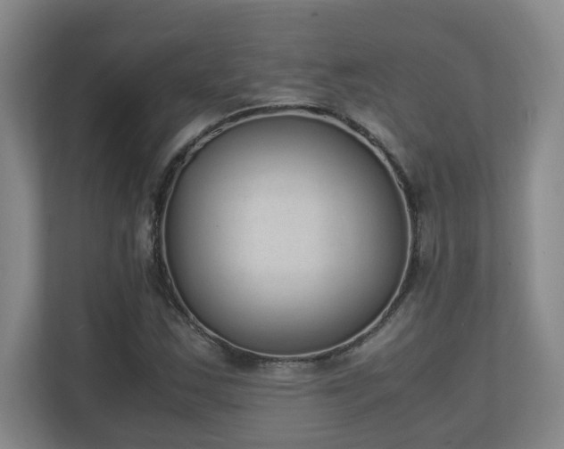 X0000111251163200907021425