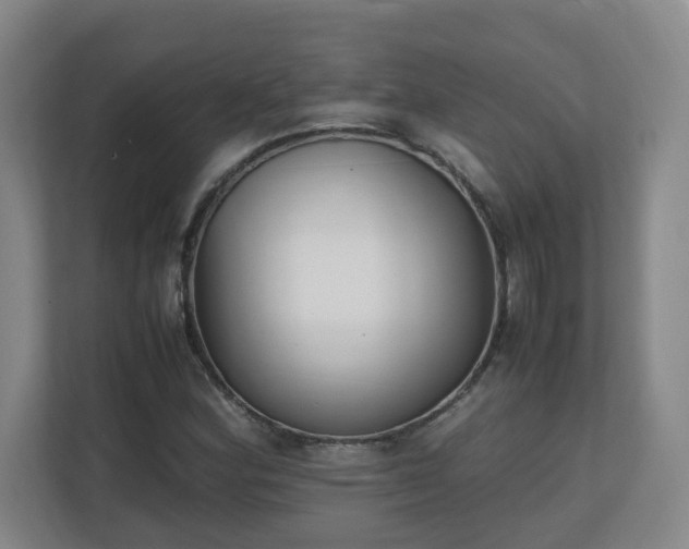 X0000111251164200907021425