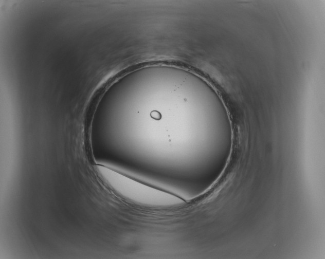 X0000111251165200907021425