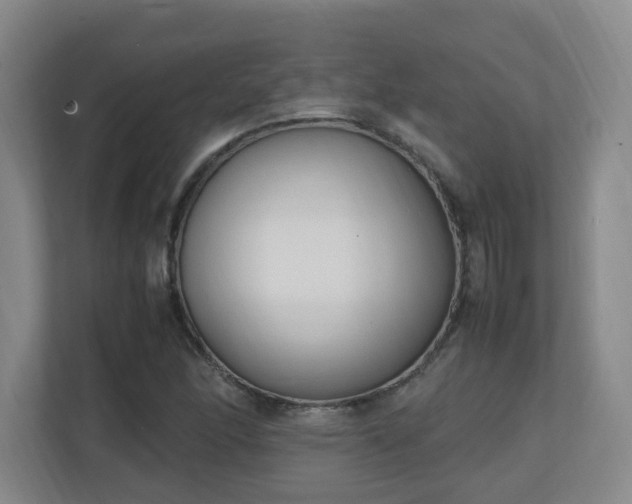 X0000111251166200907021425