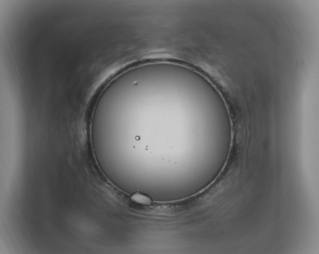 X0000111251167200907021425
