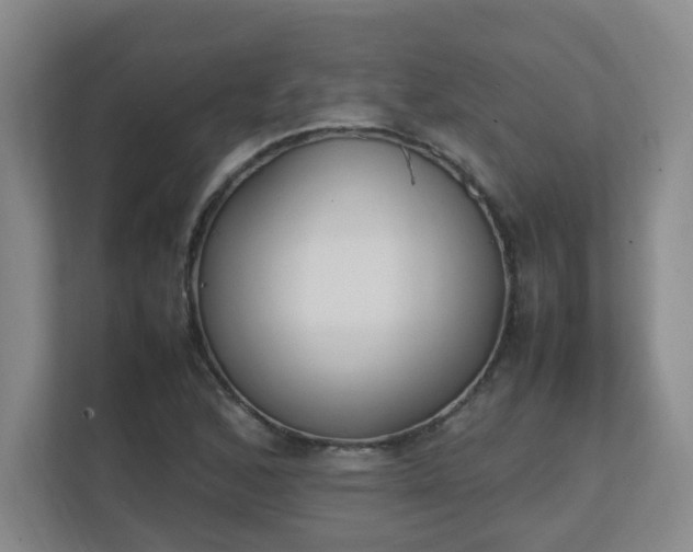 X0000111251168200907021425