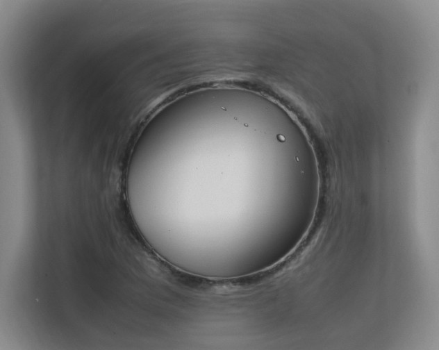 X0000111251169200907021425