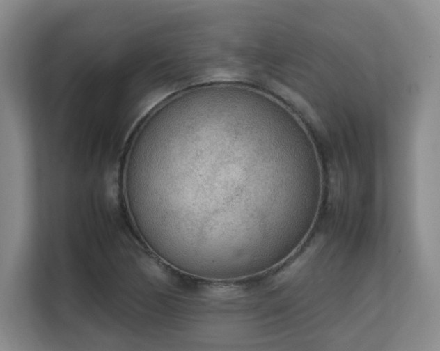 X0000111251170200907021425