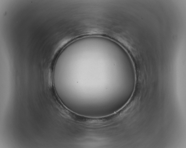 X0000111251171200907021425