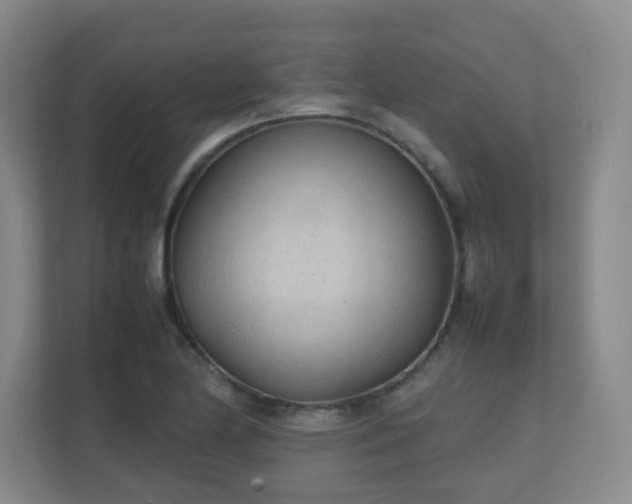 X0000111251174200907021425