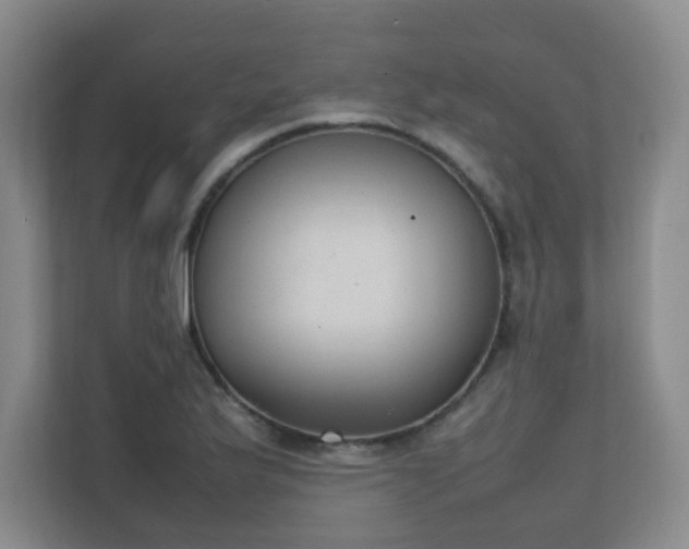 X0000111251175200907021425