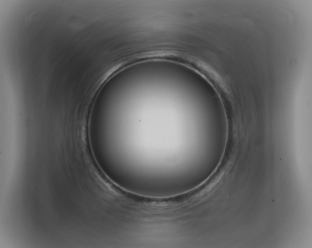 X0000111251177200907021425