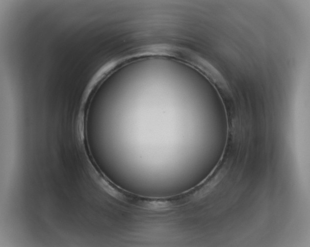 X0000111251180200907021425