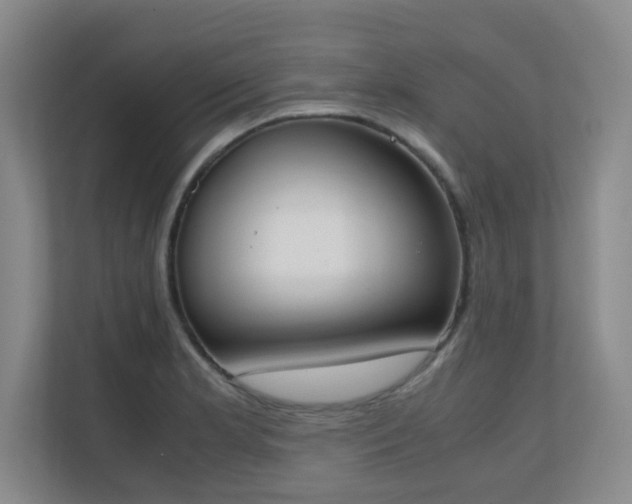 X0000111251181200907021425