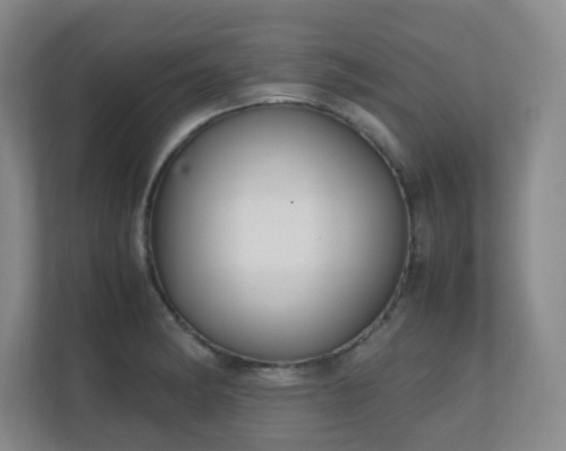 X0000111251182200907021425
