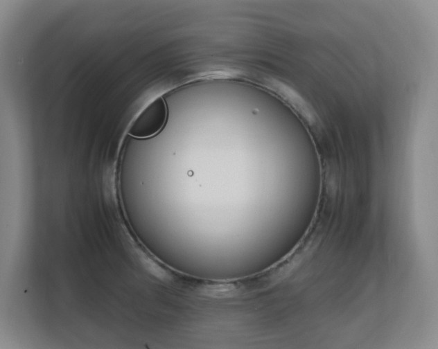 X0000111251186200907021425