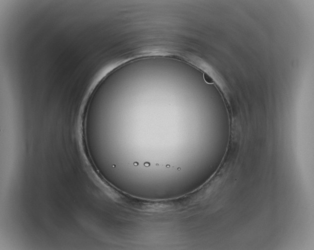 X0000111251187200907021425