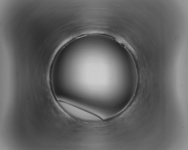 X0000111251189200907021425