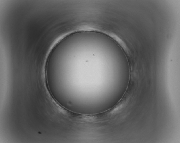X0000111251191200907021425