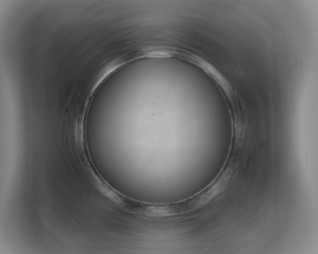 X0000111251194200907021425