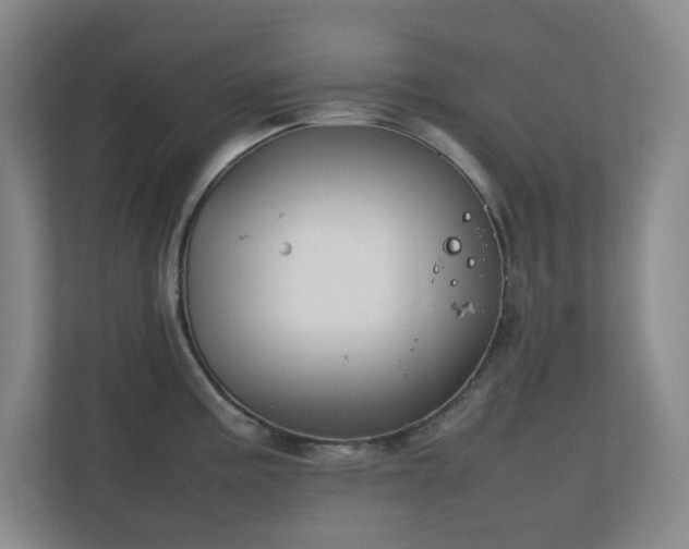 X0000111251195200907021425