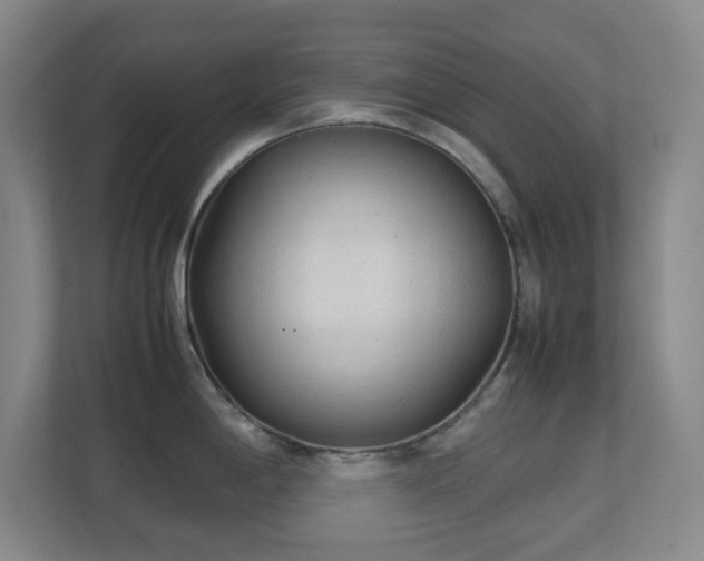 X0000111251198200907021425