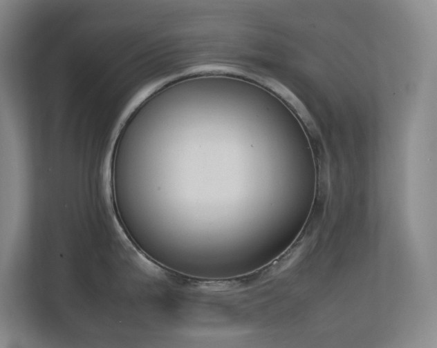 X0000111251199200907021425