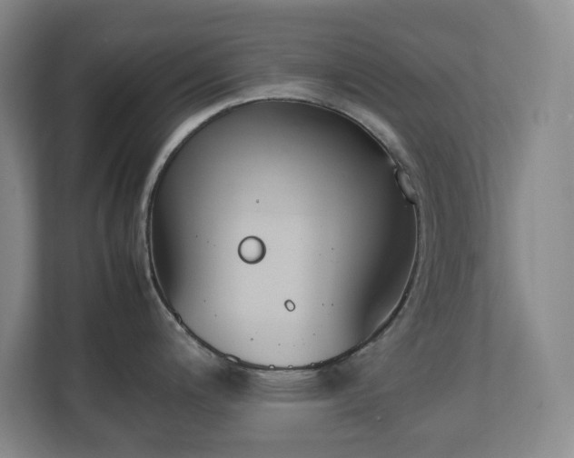 X0000111251200200907021425