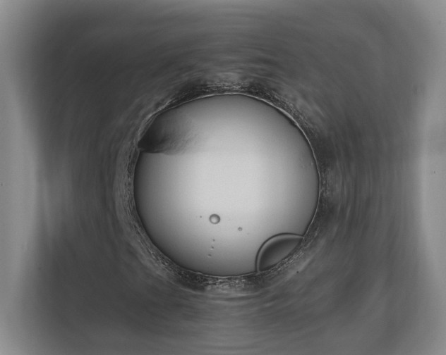 X0000111251201200907021424