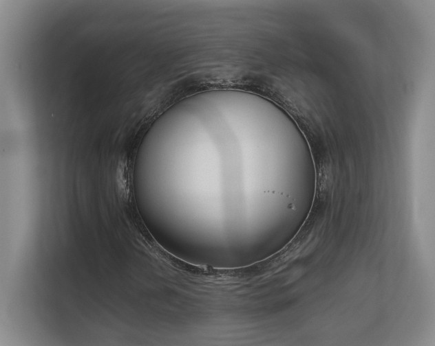 X0000111251202200907021424