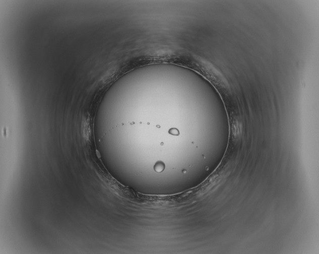 X0000111251204200907021424