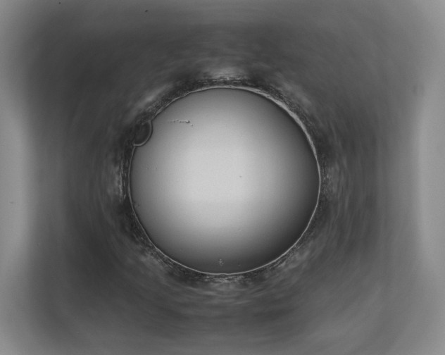 X0000111251205200907021424