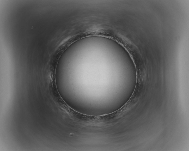 X0000111251206200907021424