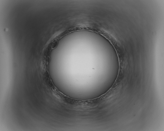 X0000111251207200907021424