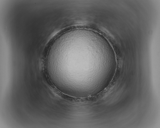 X0000111251208200907021424