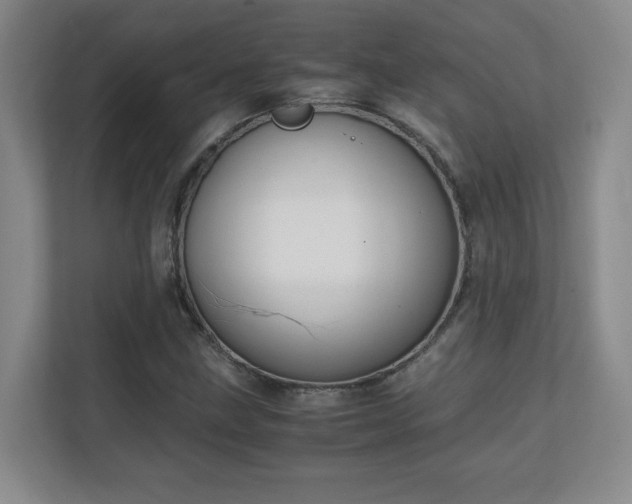 X0000111251211200907021424