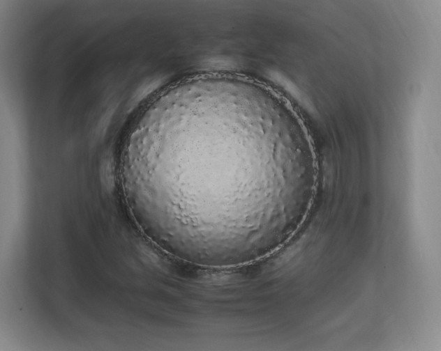 X0000111251213200907021424