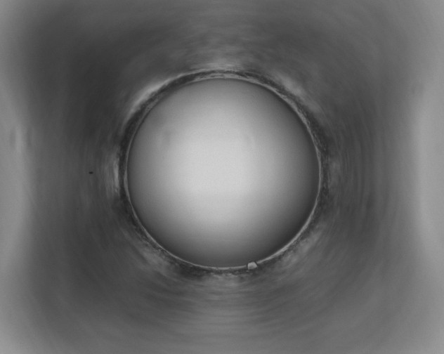 X0000111251214200907021424