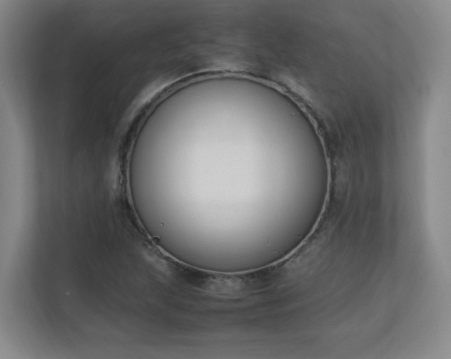X0000111251215200907021424