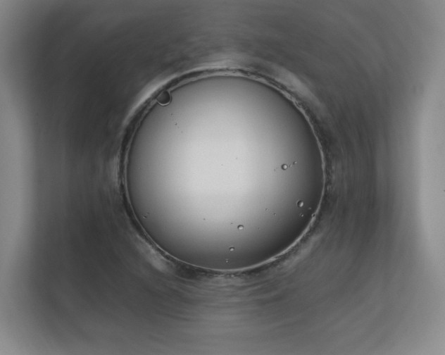 X0000111251216200907021424