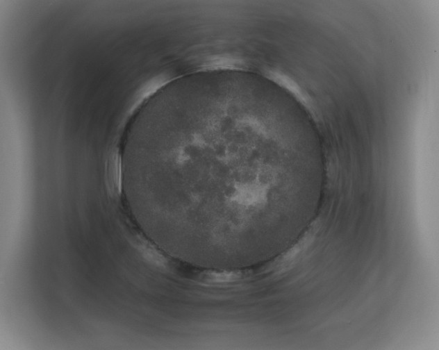 X0000111251219200907021424